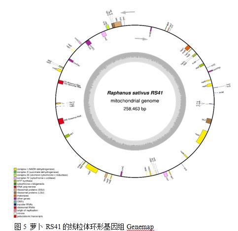 封面图片