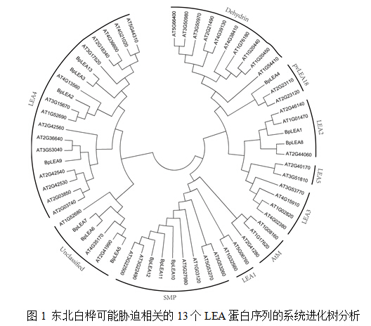 封面图片