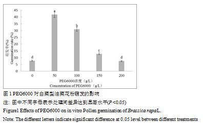 封面图片