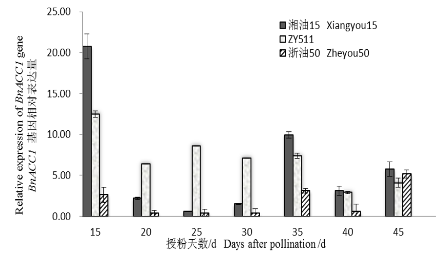 封面图片